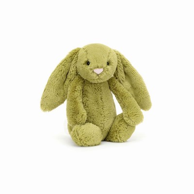 Jellycat Bashful Moss Bunnies USA | 80593PFMY